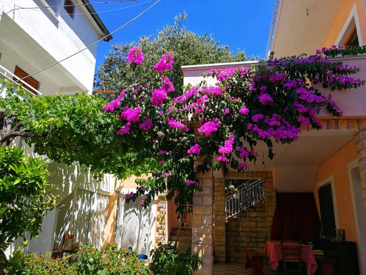Apartmani Leon Biograd Na Moru Exterior photo